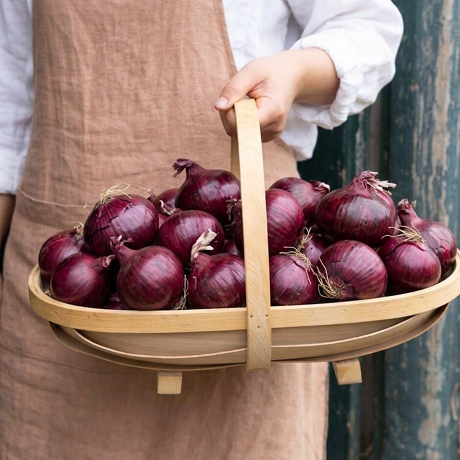 Fresh Harvest